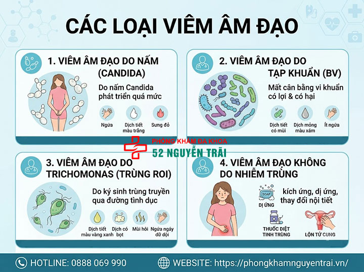 Viêm Âm Đạo Là Gì? Triệu Chứng, Nguyên Nhân Đầy Đủ 2 Các loại viêm âm đạo