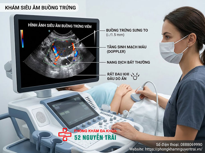 Viêm Buồng Trứng: Triệu Chứng, Nguyên Nhân Đầy Đủ 6 Siêu âm có phát hiện được viêm buồng trứng không?