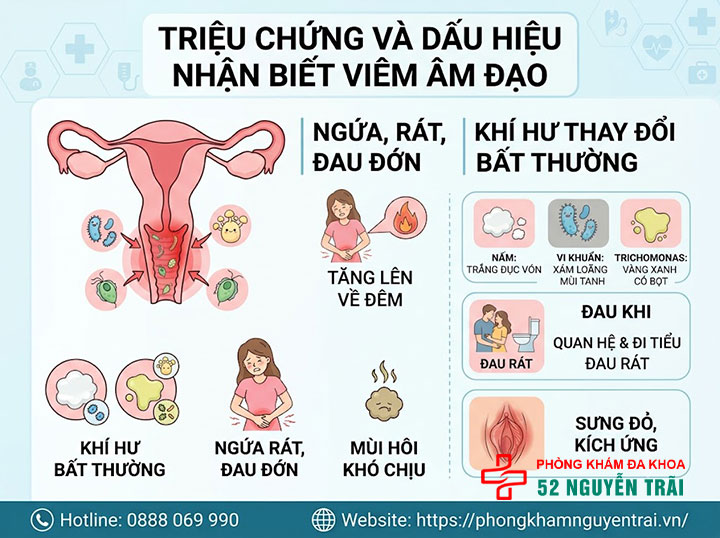 Viêm Âm Đạo Là Gì? Triệu Chứng, Nguyên Nhân Đầy Đủ 3 Triệu chứng và dấu hiệu nhận biết viêm âm đạo