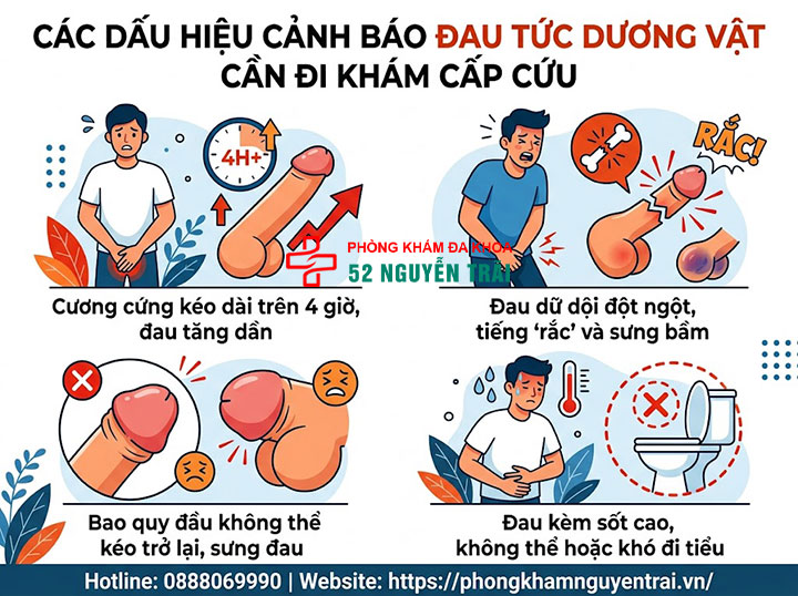 Đau Tức Dương Vật: Nguyên Nhân Và Khi Nào Cần Đi Khám 4 Các dấu hiệu cảnh báo đau tức dương vật cần đi khám cấp cứu