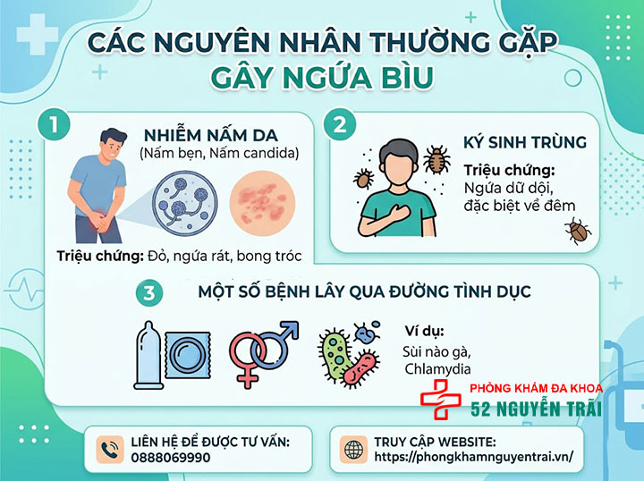Nguyên Nhân Gây Ngứa Bìu Ở Nam Giới Và Cách Khắc Phục 2 Các nguyên nhân thường gặp gây ngứa bìu