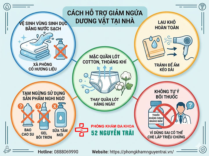 Ngứa Dương Vật: Nguyên Nhân Và Cách Xử Lý Đúng 5 Cách hỗ trợ giảm ngứa dương vật tại nhà