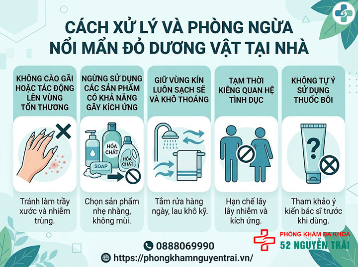 Dương vật nổi mẫn đỏ: Nguyên nhân và cách điều trị an toàn 5 Cách xử lý và phòng ngừa nổi mẩn đỏ dương vật tại nhà