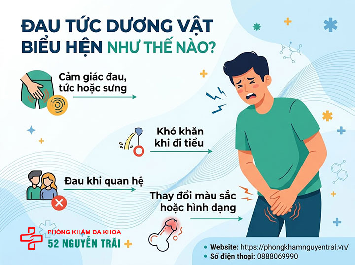 Đau Tức Dương Vật: Nguyên Nhân Và Khi Nào Cần Đi Khám 1 Đau tức dương vật biểu hiện như thế nào?