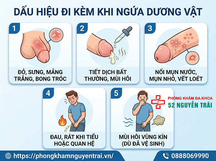 Ngứa Dương Vật: Nguyên Nhân Và Cách Xử Lý Đúng 1 Ngứa dương vật thường đi kèm những dấu hiệu nào?