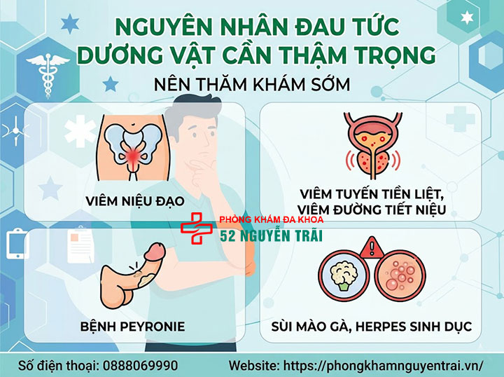 Đau Tức Dương Vật: Nguyên Nhân Và Khi Nào Cần Đi Khám 3 Nguyên nhân đau tức dương vật cần thận trọng, nên thăm khám sớm