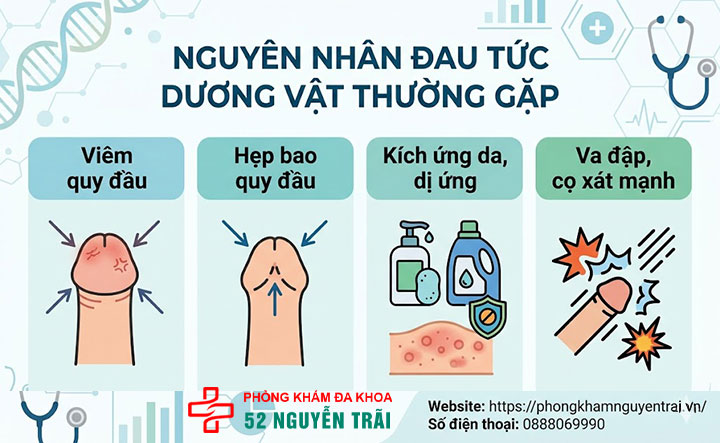 Đau Tức Dương Vật: Nguyên Nhân Và Khi Nào Cần Đi Khám 2 Nguyên nhân đau tức dương vật thường gặp, dễ xử lý