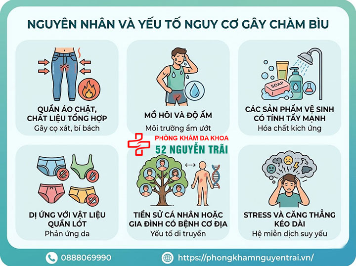 Bệnh Chàm Bìu: Nguyên Nhân, Triệu Chứng Và Điều Trị 3 Nguyên nhân và yếu tố nguy cơ gây chàm bìu