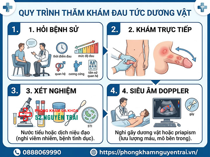 Đau Tức Dương Vật: Nguyên Nhân Và Khi Nào Cần Đi Khám 5 Quy trình thăm khám đau tức dương vật