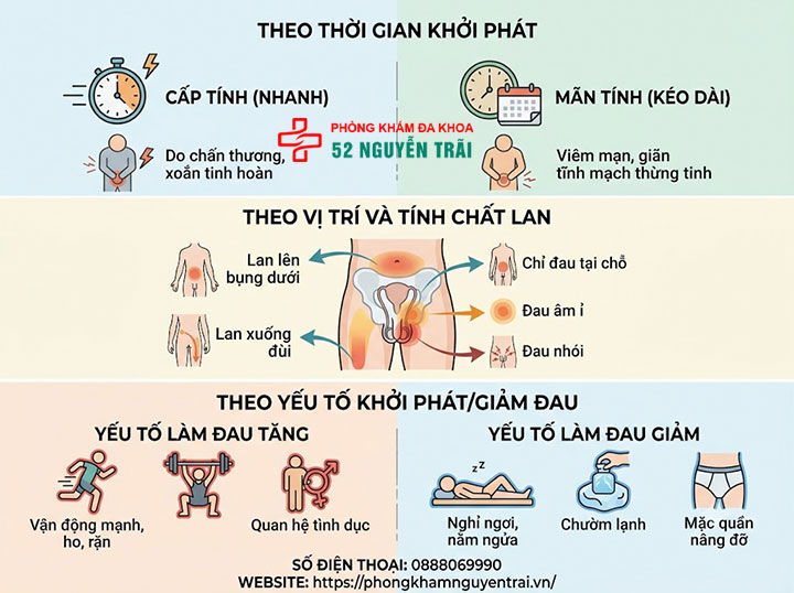 Đau Tinh Hoàn Là Gì? Nguyên Nhân Và Cách Xử Lý 2 Các loại đau tinh hoàn thường gặp