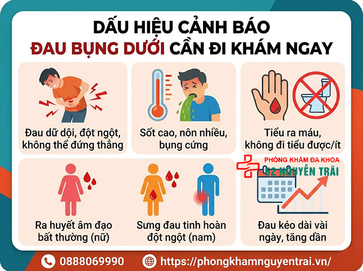 Đau Bụng Dưới Là Bệnh Gì? Nguyên Nhân Và Cách Xử Lý 6 Dấu hiệu cảnh báo đau bụng dưới cần đi khám ngay
