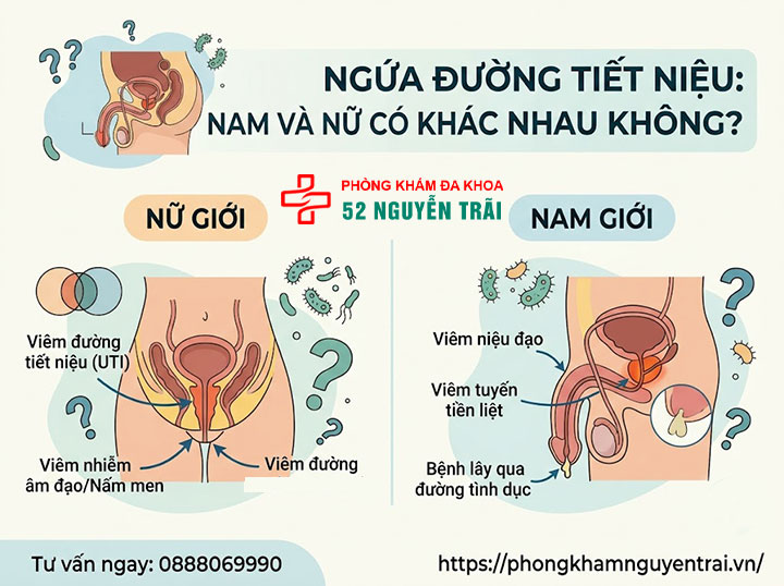 Ngứa Đường Tiết Niệu, Nóng Rát Là Bệnh Gì? Khám Ở Đâu? 3 Ngứa Đường Tiết Niệu ở Nam và nữ có khác nhau không?