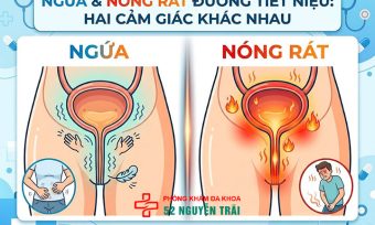 Ngứa Đường Tiết Niệu, Nóng Rát Là Bệnh Gì? Khám Ở Đâu?