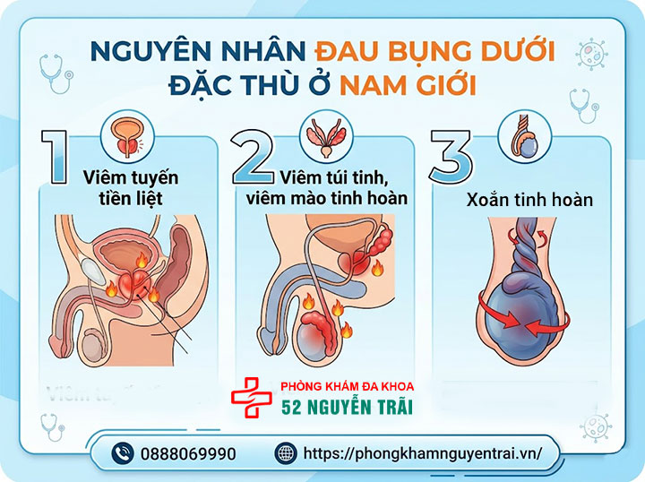 Đau Bụng Dưới Là Bệnh Gì? Nguyên Nhân Và Cách Xử Lý 5 Nguyên nhân đau bụng dưới đặc thù ở nam giới