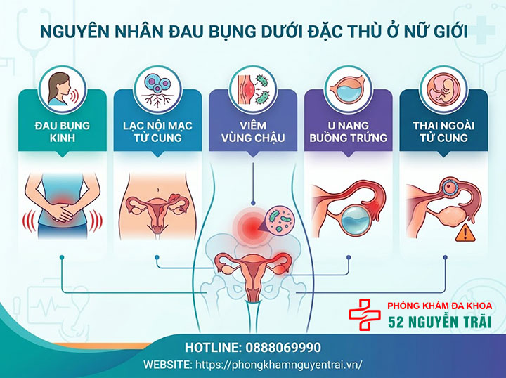 Đau Bụng Dưới Là Bệnh Gì? Nguyên Nhân Và Cách Xử Lý 4 Nguyên nhân đau bụng dưới đặc thù ở nữ giới