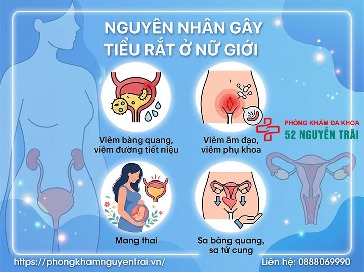 Tiểu Rắt Là Gì? Nguyên Nhân Và Cách Điều Trị Hiệu Quả 3 Nguyên nhân gây tiểu rắt Ở nữ giới