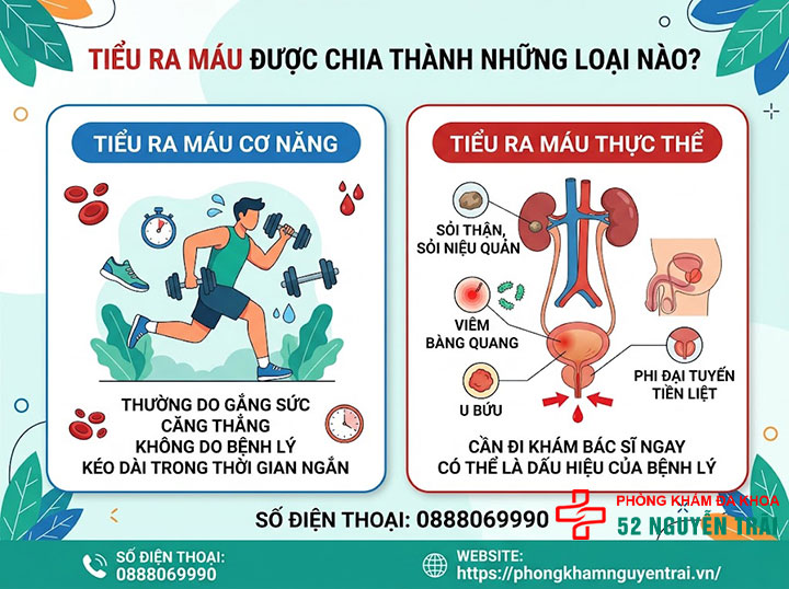 Tiểu Ra Máu: Khi Nào Lành Tính, Khi Nào Nguy Hiểm? 1 Tiểu ra máu được chia thành những loại nào?