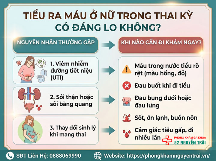Tiểu Ra Máu Ở Nữ Là Bệnh Gì? Nguyên Nhân, Cách Xử Trí 5 Tiểu ra máu ở nữ trong thai kỳ có đáng lo không?