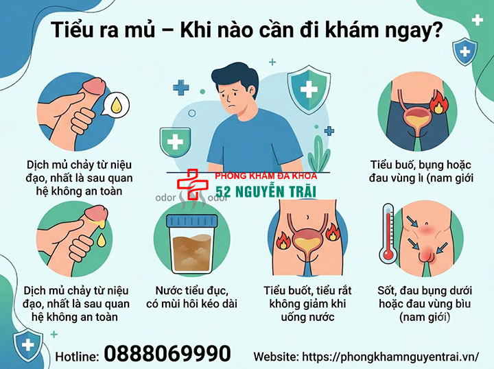 Tiểu Ra Mủ Là Bệnh Gì? Nguyên Nhân Và Cách Điều Trị 6 Tiểu ra mủ – khi nào cần đi khám ngay?