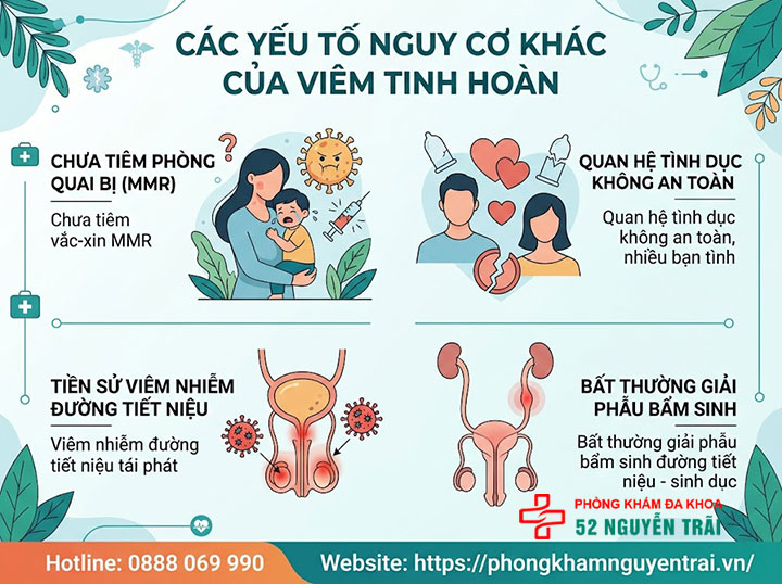Viêm tinh hoàn là gì? Nguyên nhân, triệu chứng, cách điều trị 4 Vì sao bị viêm tinh hoàn