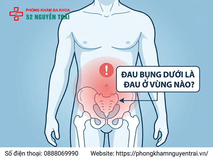 Đau Bụng Dưới Là Bệnh Gì? Nguyên Nhân Và Cách Xử Lý 1 đau bụng dưới là đau ở vùng nào?