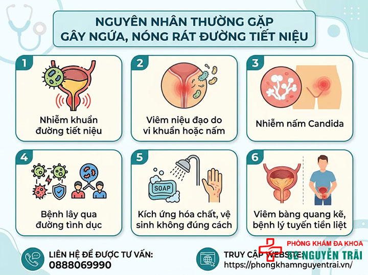 Ngứa Đường Tiết Niệu, Nóng Rát Là Bệnh Gì? Khám Ở Đâu? 2 nguyên nhân thường gặp gây ngứa, nóng rát đường tiết niệu