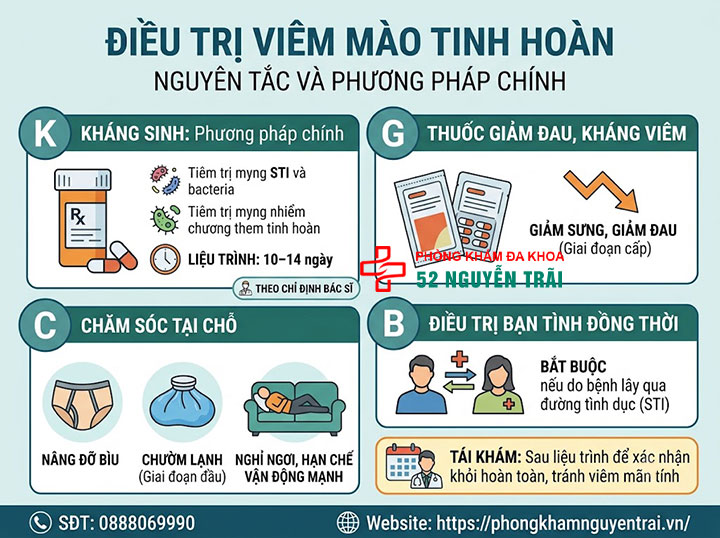 Viêm Mào Tinh Hoàn Là Gì? Nguyên Nhân Và Cách Điều Trị 7 Điều Trị Viêm Mào Tinh Hoàn