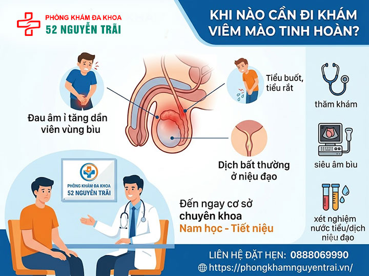 Viêm Mào Tinh Hoàn Là Gì? Nguyên Nhân Và Cách Điều Trị 9 Khi Nào Cần Đi Khám Viêm Mào Tinh Hoàn?