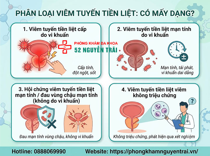 Viêm tuyến tiền liệt là gì? Phân loại và nguy cơ mắc bệnh 2 Phân loại viêm tuyến tiền liệt: có mấy dạng?