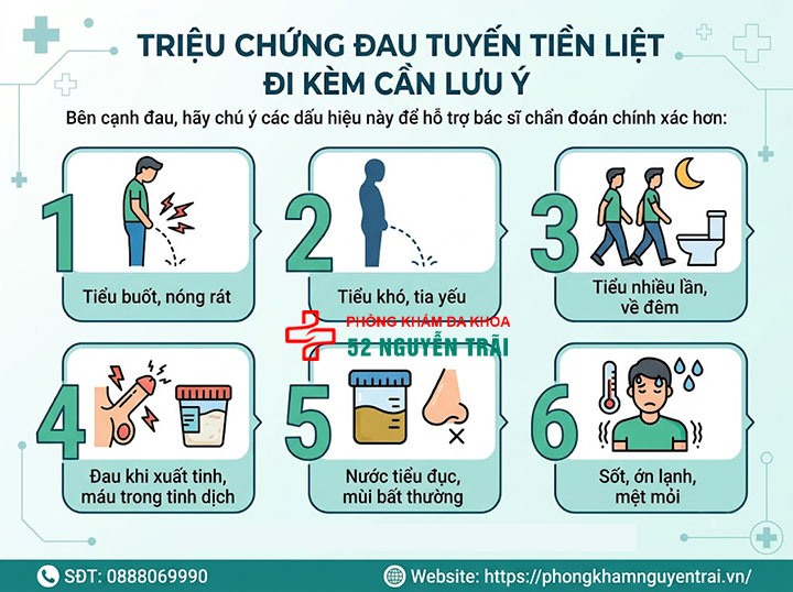 Đau tuyến tiền liệt là bệnh gì? Nguyên nhân, cách xử lý 3 Triệu chứng đau tuyến tiền liệt đi kèm cần lưu ý