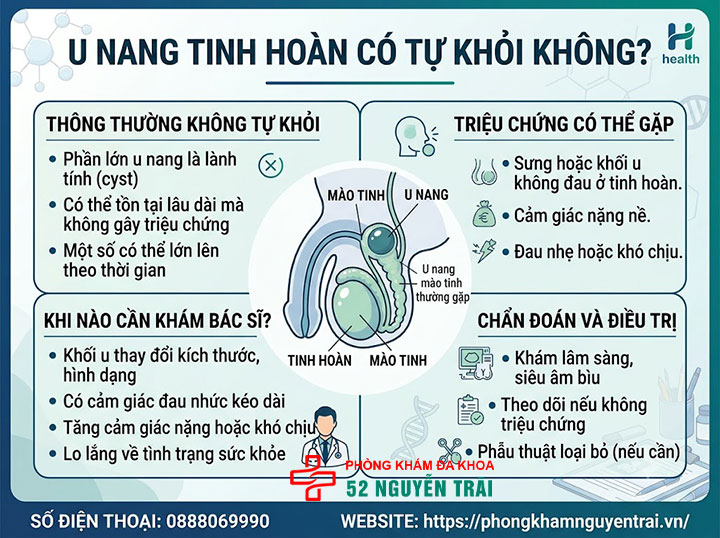 U Nang Tinh Hoàn Là Gì? Nguyên Nhân Và Cách Điều Trị 7 U nang tinh hoàn có tự khỏi không?