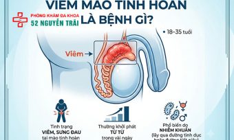 Viêm Mào Tinh Hoàn Là Gì? Nguyên Nhân Và Cách Điều Trị
