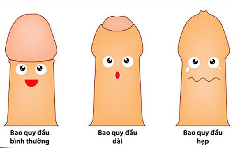 Bao quy đầu hơi dài là như thế nào