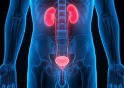 6 bệnh đường tiết niệu thường gặp và cách phòng ngừa