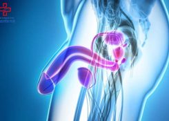 4 cách làm dương vật cương cứng nhanh và lâu