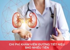 Chi phí khám viêm đường tiết niệu bao nhiêu tiền