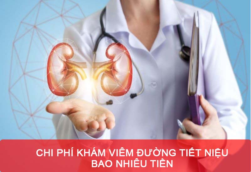 Chi phí khám tiết niệu bao nhiêu tiền?