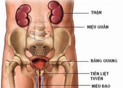 Viêm đường tiết niệu có tự khỏi không? Điều trị như thế nào hiệu quả