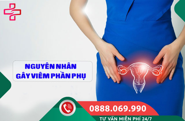 Nguyên nhân gây viêm phần phụ