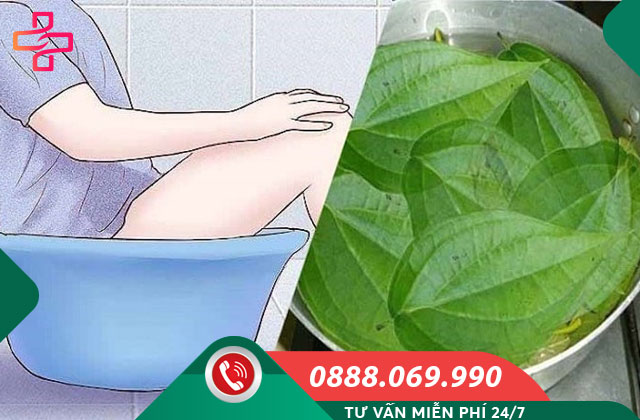 Sử dụng lá trầu chữa viêm âm đạo tại nhà