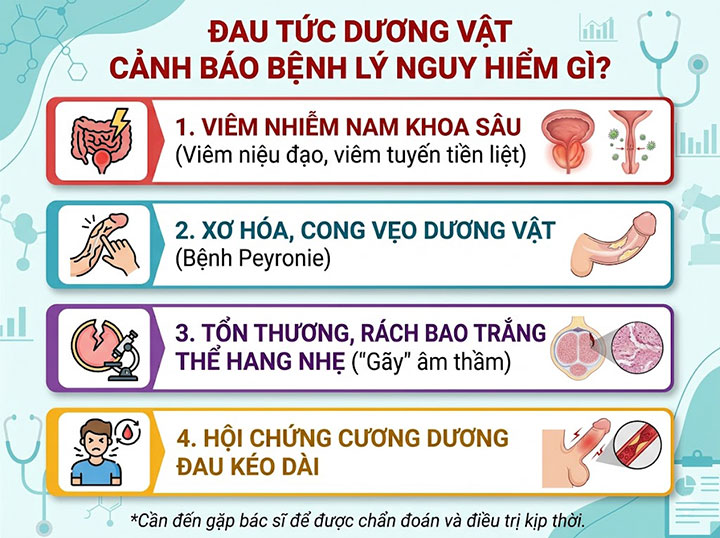Đau tức dương vật âm ỉ: nguy cơ viêm tắc mạch máu nguy hiểm Khám ngay kẻo bất lực! 3 Đau tức dương vật cảnh báo bệnh lý nguy hiểm gì?