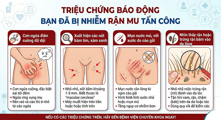 Cách trị rận mu triệt để – hết ngứa ngáy, bảo mật tuyệt đối tại Hà Nội 2 Triệu chứng báo động bạn đã bị nhiễm rận mu tấn công