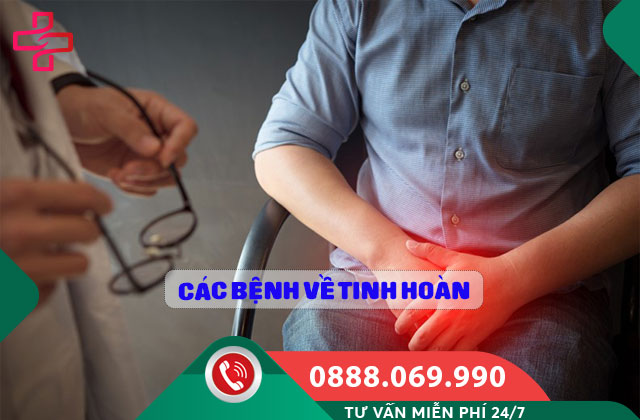 Các bệnh về tinh hoàn