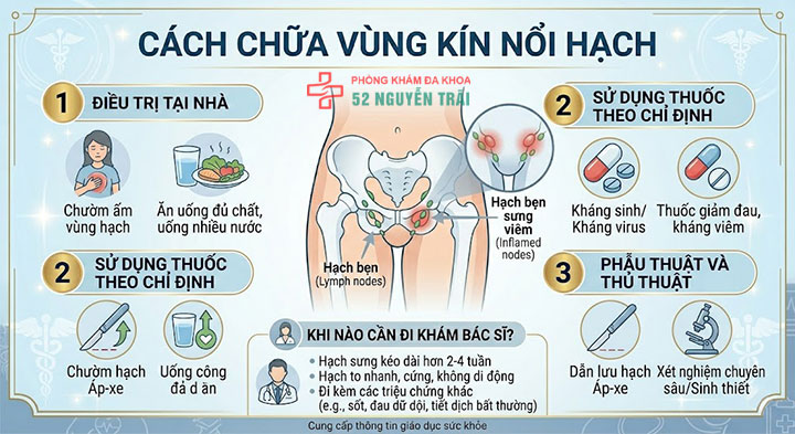 Vùng kín nổi hạch do đâu? Cách điều trị an toàn, hiệu quả 11 Cách chữa vùng kín nổi hạch