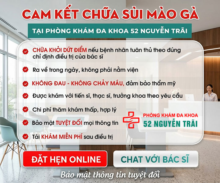 cam kết chữa sùi mào gà
