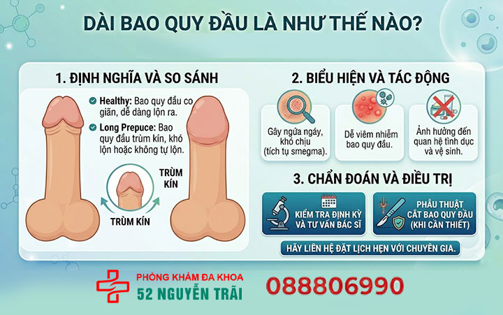 Bị dài bao quy đầu có sao không? Nguyên nhân & cách xử lý 1 Dài bao quy đầu là như thế nào