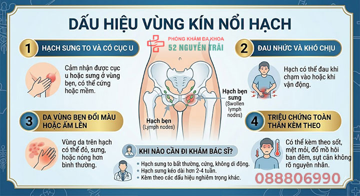 Vùng kín nổi hạch do đâu? Cách điều trị an toàn, hiệu quả 7 Dấu hiệu vùng kín nổi hạch