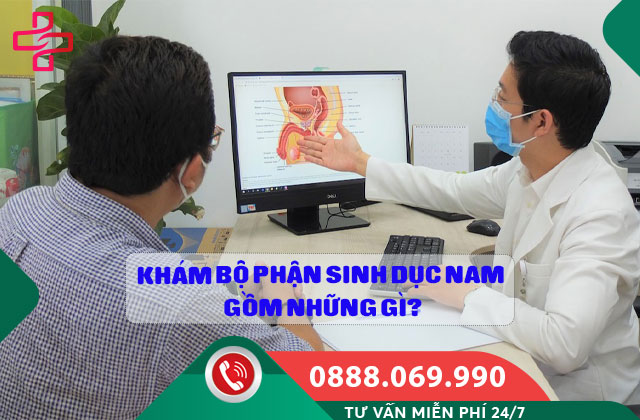 Khám bộ phận sinh dục nam gồm những gì?