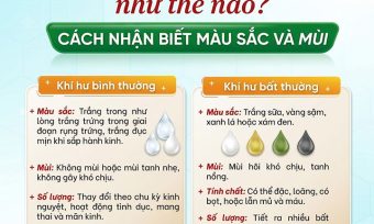 Khí Hư Bất Thường: Khi Nào Cần Đi Khám Phụ Khoa