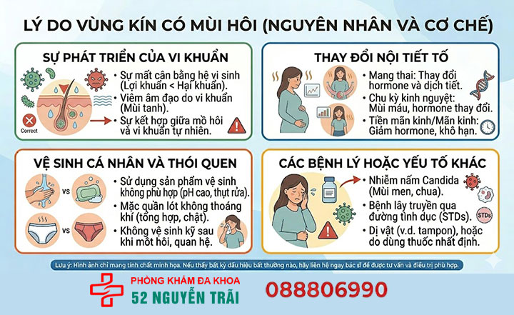 Vùng kín có mùi do đâu? Cách điều trị an toàn, hiệu quả 4 Lý do vùng kín có mùi hôi